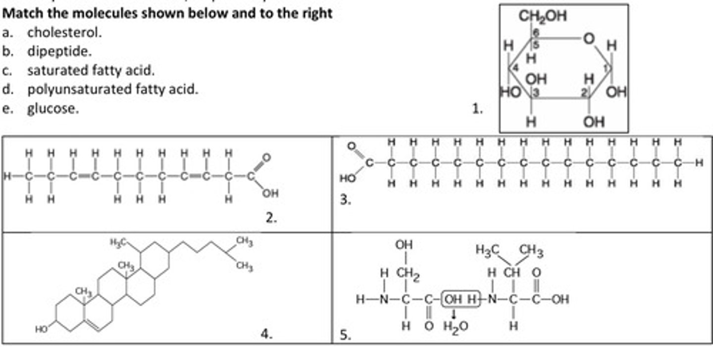 <p>2</p>