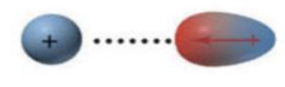 <p>Ion-charge- (Dipole-Charge)<br>Strength: 40-600</p>