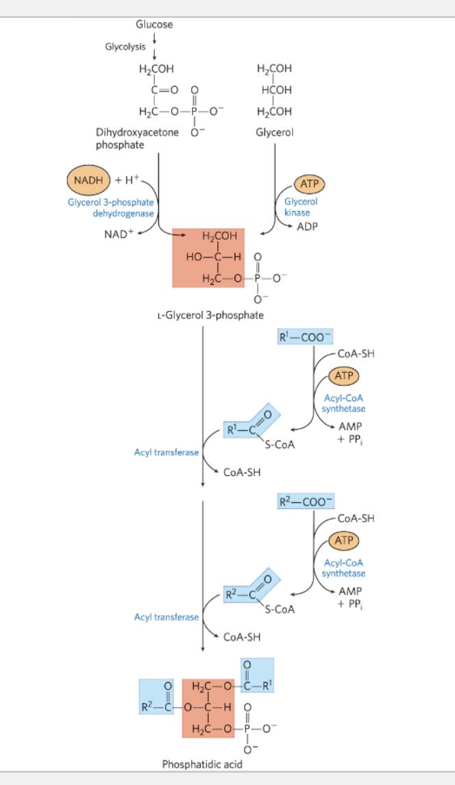 <p>Explain this image (NOTECARD)</p>