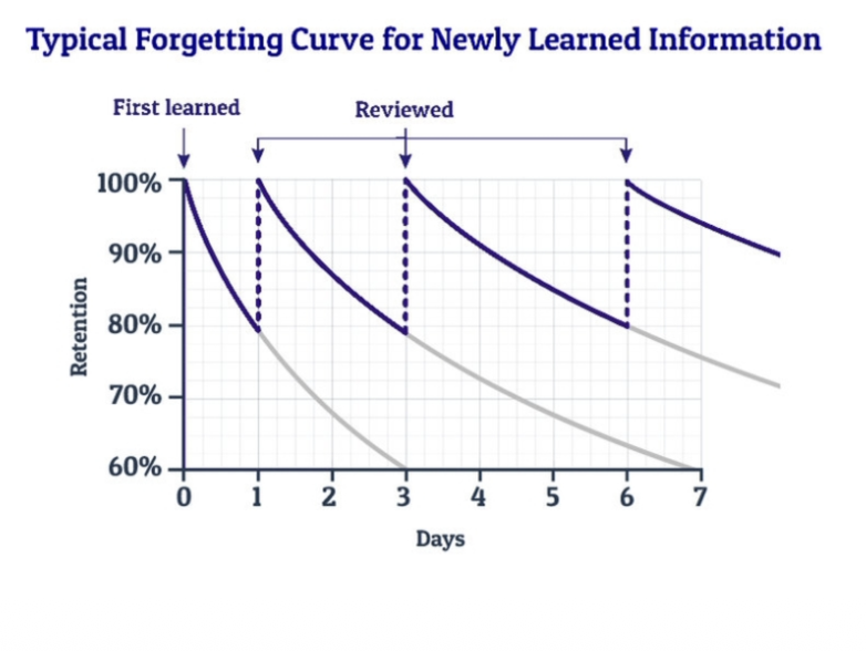 <p>the forgetting curve? 5 pts </p>