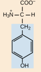 <p>side chain pka: 10.5</p>