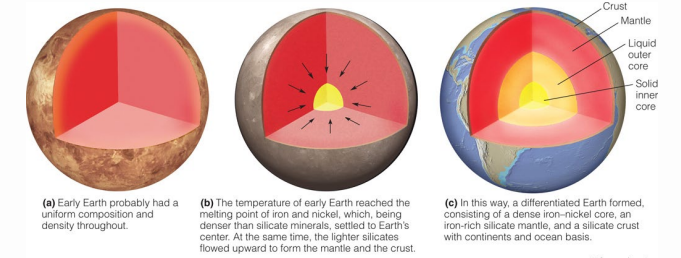 <ul><li><p>Earth condensed into its body by solar nebula 4.6 billion years ago</p><ul><li><p>uniformed composition and density</p></li><li><p>internal heat of planet increases to melt Fe and Ni</p><ul><li><p>more dense than remaining silicate metal</p><ul><li><p>sunk to middle of planet</p></li><li><p>lighter silicate metal floated towards surface</p></li><li><p>create Earth’s internal layers </p></li></ul></li></ul></li></ul></li></ul><p></p>