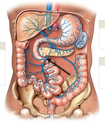 <p>Name the structure</p>