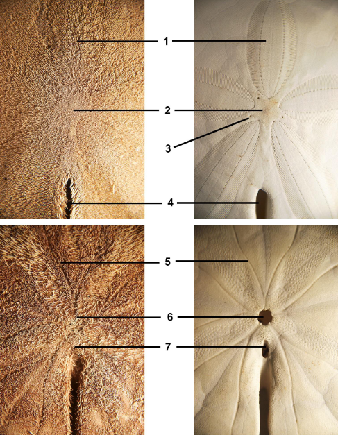 <p>class</p><p>label</p>