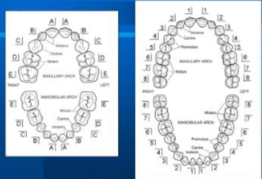 <p>What number system is this?</p>