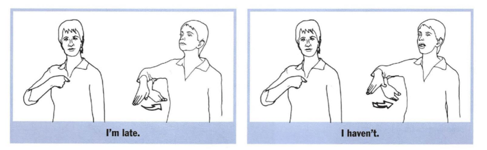 <p>alter the meaning of the sign. facial expressions, head nodes/ shakes, eyebrows, nose, eyes, and lips each carry meaning that can be attached to a sign</p>