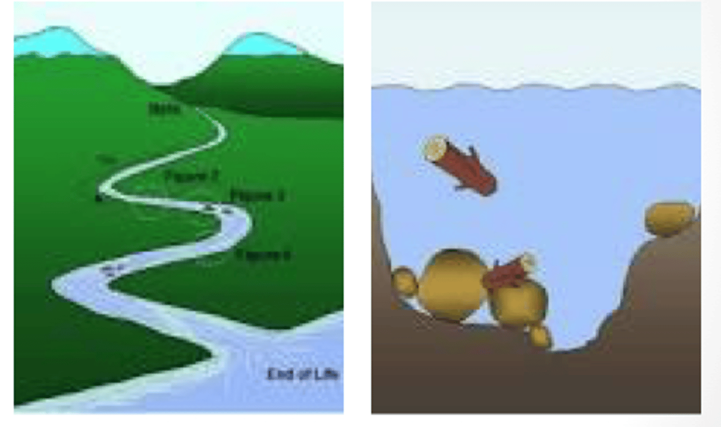 <p>OT's goal is to find opportunities for intervention within the spaces</p><p>between the elements</p>