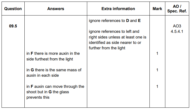<ul><li><p>In F there is more auxin in the side furthest from the light </p></li><li><p>In G there is the same mass of auxin in each side </p></li><li><p>In F auxin can move through the shoot but in G the glass prevents this</p></li></ul><p></p>
