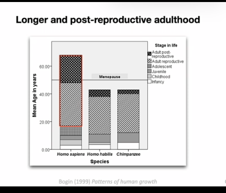 <ul><li><p>niet meer zelf nakomelingen kunnen produceren, wel nog doorleven</p></li><li><p>bij veel dieren is dit niet</p></li><li><p>is dat een designfeature?</p></li><li><p>res van natuurlijke selectie?</p></li><li><p>zo ja wat waren dan de selectie druk?</p></li><li><p>functie van het doorleven?</p></li></ul><p>&nbsp;</p><p><span data-name="older_woman" data-type="emoji">👵</span><strong> Grandmother hypothesis</strong></p><ul><li><p>Post-reproductieve vrouwen helpen kleinkinderen</p></li><li><p>→ verhoogt <strong>inclusive fitness</strong></p></li><li><p><strong>mogelijk ; ouder kans gezonde nakomeling af, kan reden zijn</strong></p></li></ul><p></p><p>menopauze whales</p><ul><li><p>waarom adaptief ; grootouders hebben kennis niet aanwezig bij andere volwassenen</p></li></ul><p></p>