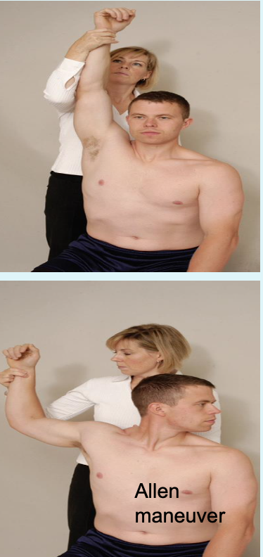 <ul><li><p><span>PURPOSE- Identify pathology of structures that pass through thoracic inlet</span></p></li><li><p><span>DESCRIPTION- Patient sitting, locate radial pulse of the extremity being tested. Move shoulder into maximum abduction and external rotation.<br>Taking deep breath and rotating head opposite to test site may accentuate symptoms.</span></p></li><li><p><span>RESULT- Neurological/ vascular symptoms (disappearance of pulse) will be reproduced</span></p></li></ul><p></p>