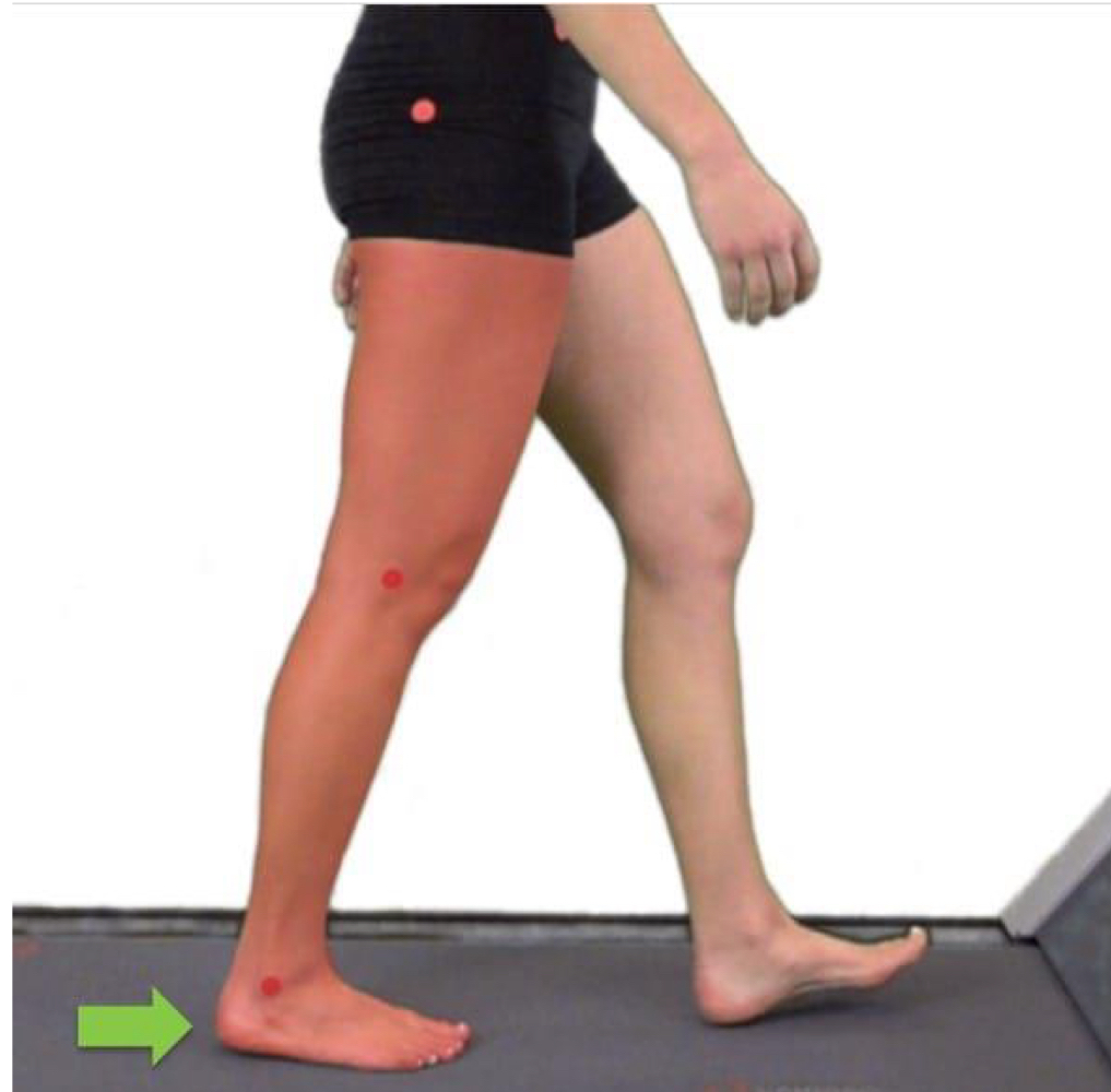 <p>begins with contralateral limb toe off and ends with ipsilateral heel rise</p>