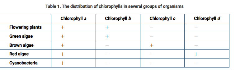 <p><span>Different photosynthetic organisms have different types of chlorophyll molecules. The distribution of chlorophylls in several different groups of organisms is shown in Table 1. A plus sign (+) in the table indicates the presence of a chlorophyll, while a minus sign (-) indicates its absence.</span></p><p>Based on the data, which of the following most likely describes the evolutionary relationship among the organisms?</p><p><strong>A) </strong>Because brown algae, red algae, and cyanobacteria lack chlorophyll <span><em>b</em></span>, they evolved before green algae and flowering plants did.</p><p><strong>B) </strong>Because green algae and flowering plants contain chloroplasts, they evolved more recently than brown algae, red algae, and cyanobacteria did.</p><p><strong>C) </strong>Because increasingly complex forms of chlorophyll are found in red algae, brown algae, green algae, and flowering plants, respectively, this reflects the order of their appearance.</p><p><strong>D) </strong>Because all of the organisms contain chlorophyll <span><em>a</em></span>, the organisms share a common ancestor.</p>