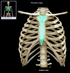 <p>Identify the structure</p>