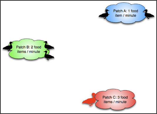 <ol><li><p>animals have perfect knowledge of the availability of food at different patches </p></li><li><p>animals are free to explore new patches whenever they wish and travel cost is negligible </p></li><li><p>animals have equal competitive ability </p></li></ol><p></p>