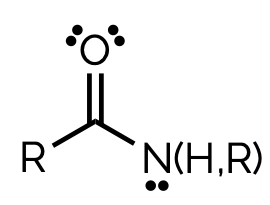 <p>name and suffix</p>