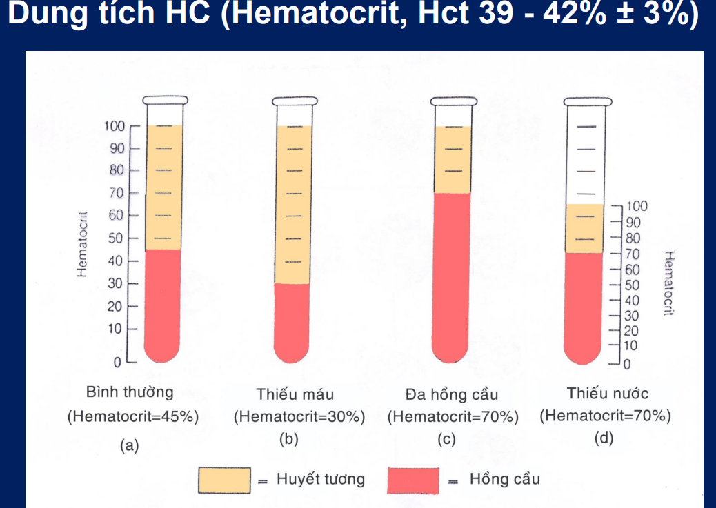 <p>Bình thường HCT 36-45%→quá mức hồng cầu thì thường ta xem là bệnh mức nhẹ</p><p>Thiếu máu HCT <30%</p><p>Đa hồng cầu HCT >70%</p><p>Thiếu nước→giảm thể tích huyết tương→Tăng HCT lên 70%</p>