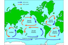 <p>Northern hemisphere: Clockwise</p><p>Southern hemisphere: Counterclockwise</p><p>- Affected by temperature and salinity</p>