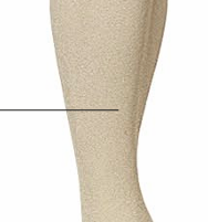 <p><strong>tibia</strong></p>
