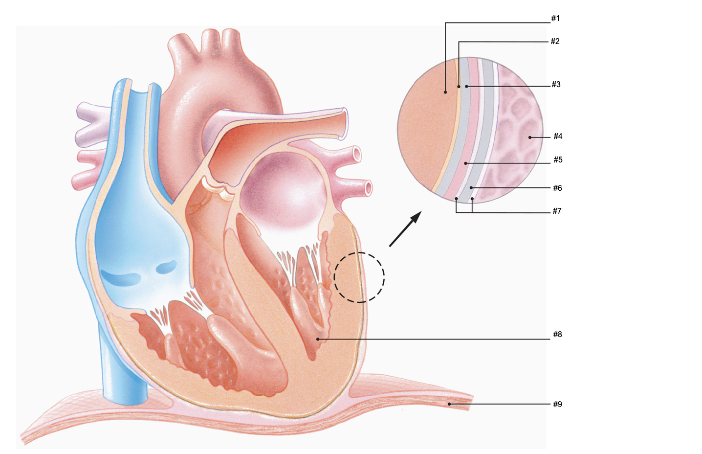 <p>#2</p>