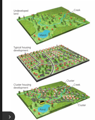 <p>density housing units are concentrated on one portion of a parcel, with the rest of the land (often 30–50%) used for commonly shared open space </p>