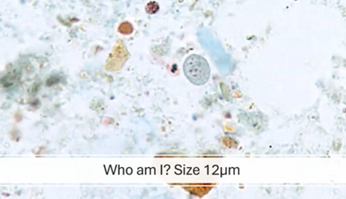 <p><span style="background-color: rgba(0, 0, 0, 0); line-height: 19.7625px;">What is the species in this photo and WHY?</span></p>