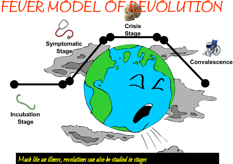 <p>The flu model, incubation stage, Symptomatic stage, crisis stage, and convalescence stage.</p>