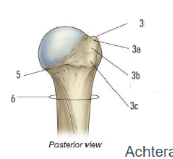 <p>6?</p>