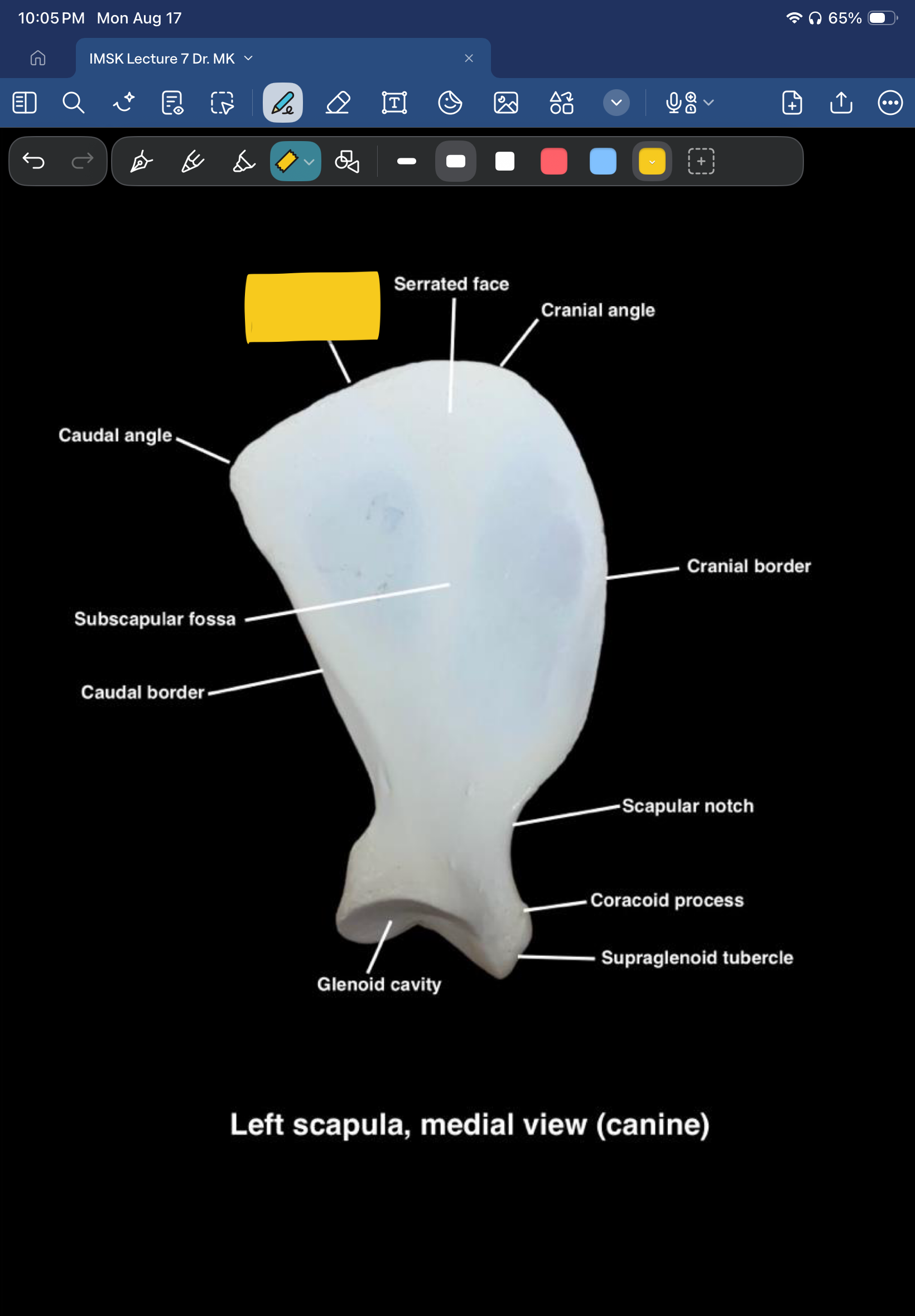 term image