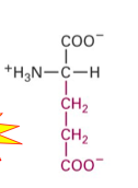 <p>What Structure is this?</p>