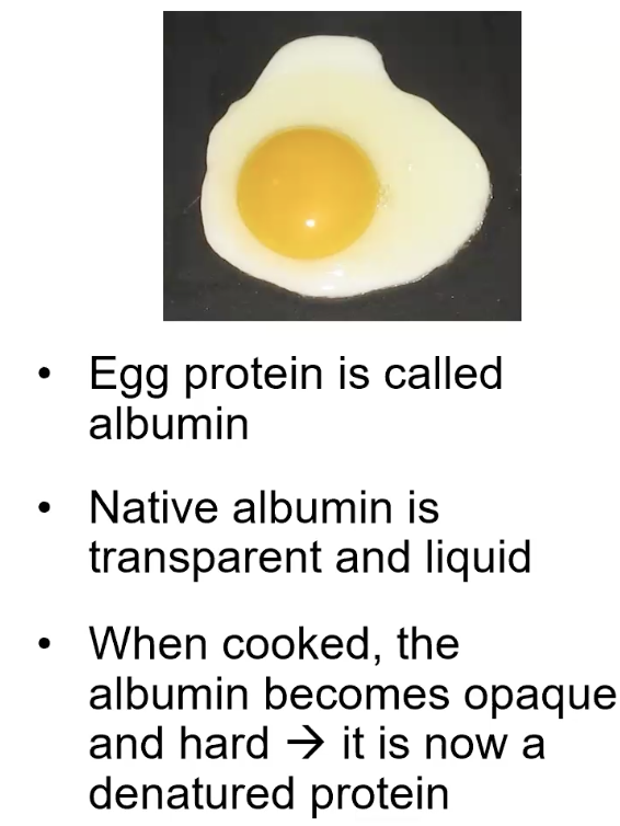 <ul><li><p>loses its bioactivity</p></li><li><p>affects 2°, 3°, and 4° structures (but not 1°); ex. disulphide, alpha-helices, beta-sheets etc.</p></li></ul><p></p>