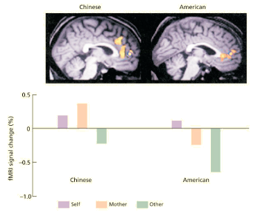 <p>Chinese participants show overlapping mPFC activity for self and mother unlike Americans</p>