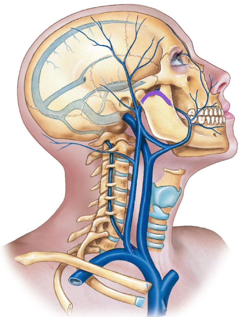 <p>diagram </p>