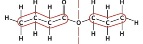 <p>Name:</p>