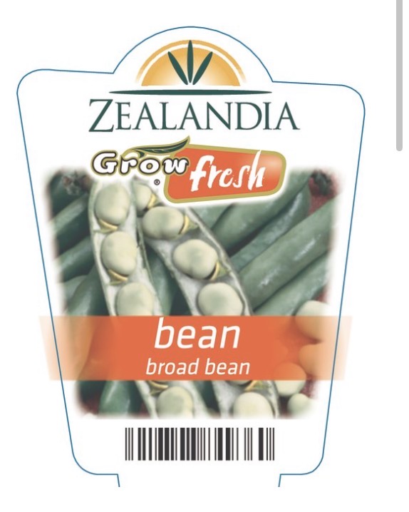 <p>Bean: Broad bean</p>
