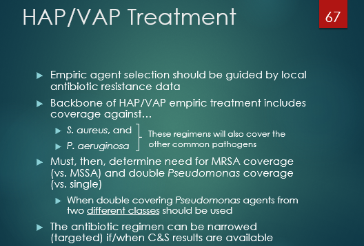 <p>s. aureus </p><p>p. aeruginosa</p><p></p>