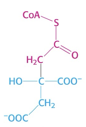 <p>what is this structure?</p>