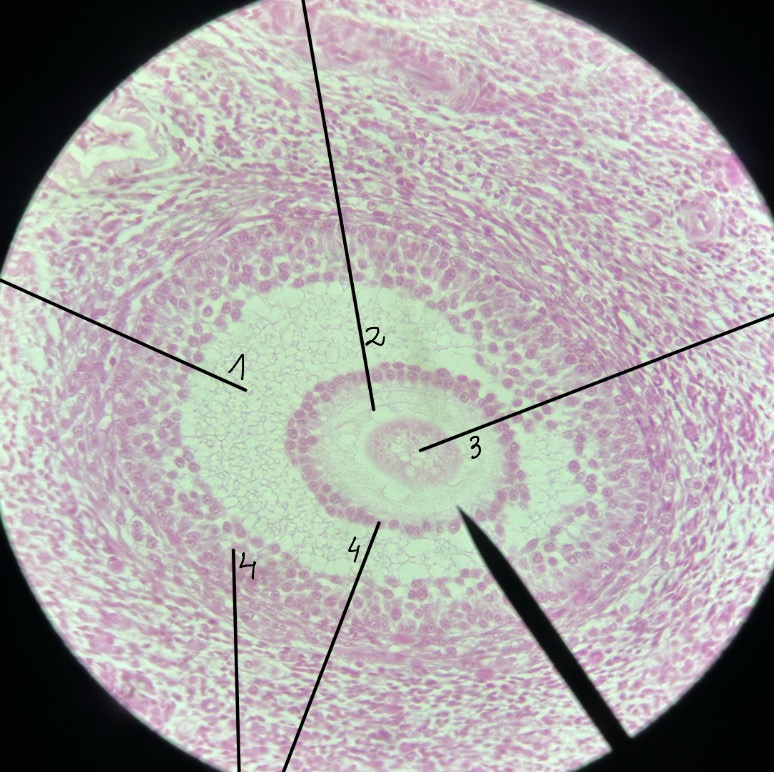<p>4</p>