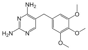 <p>trimethoprim</p>