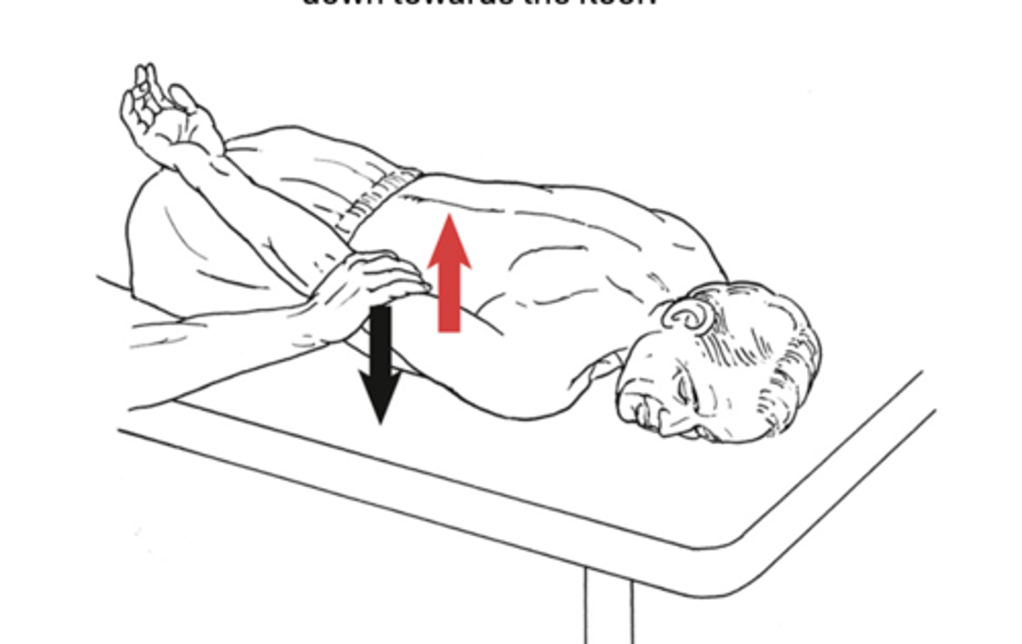 <p>posterior deltoid, latissimus dorsi ; teres majjor</p>