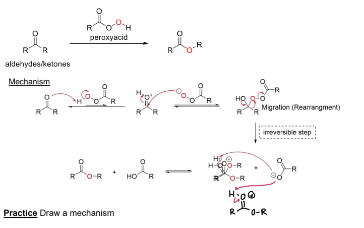 <p><strong>Reaction #4) - __________</strong></p><ul><li><p>Formation of an <span style="color: green;"><strong>ester</strong></span>, <strong>which is inserted on whichever side of the C=O bond is more likely to </strong><span style="color: red;"><strong><mark data-color="red" style="background-color: red; color: inherit;">migrate </mark></strong></span></p><ul><li><p>mCPBA</p></li><li><p>CF3CO3H</p></li><li><p>H2O2, AcOH</p></li></ul></li><li><p><strong>The group that migrates has the ability to stabilize positive charge during migration </strong></p></li></ul><p></p>