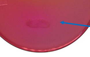 <p>test and result</p>