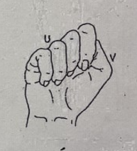 <p>U</p>