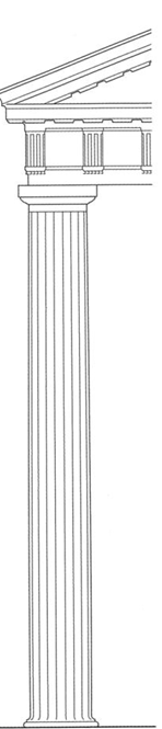 <p>orde</p>