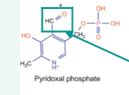<p>-amine group  from amino acid is transferred onto aldehyde carbon of PLP</p>