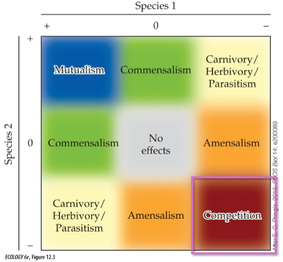 <p>both species benefit</p>