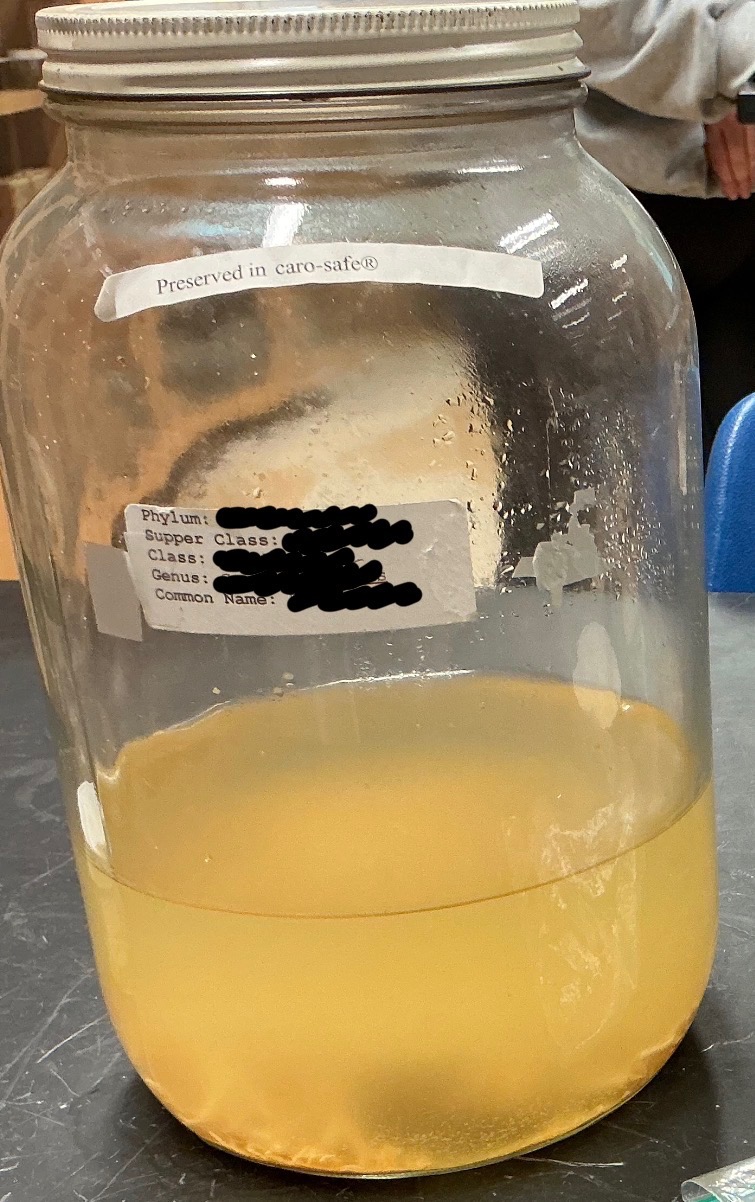 <img src="https://assets.knowt.com/user-attachments/59e37af7-52d1-40b5-b8a8-27de27f9787f.jpg" data-width="25%" data-align="center"><p></p>