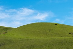 <p>A high piece of land that is smaller than a mountain.</p>