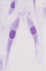 <p>Identify</p>