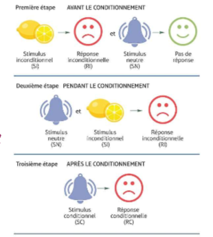 <p>Cette image peux être associé avec le travail de qui?</p>
