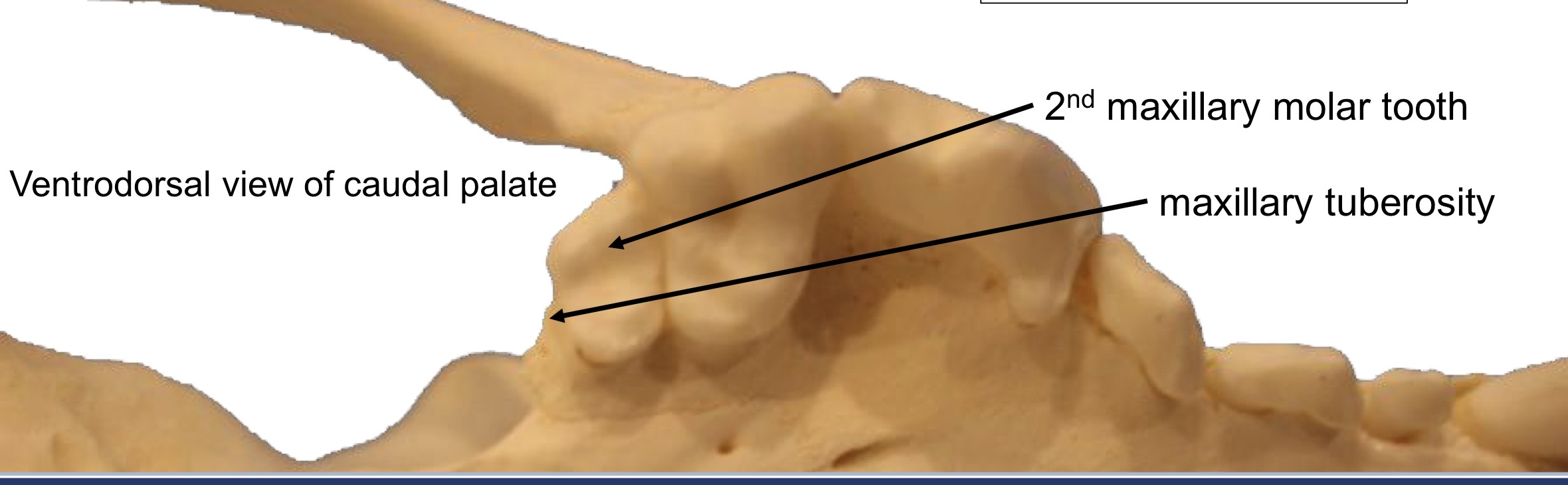 <p>why are these landmarks significant?</p>